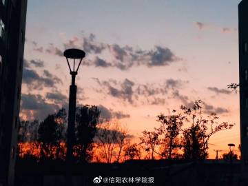 水泥搅拌车不转怎么办_水泥搅拌车为什么一直在转